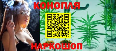 молекула духа Заводоуковск
