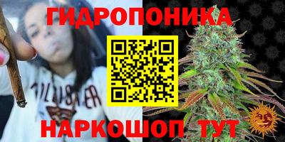 молекула духа Заводоуковск