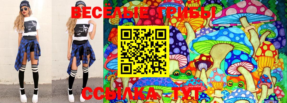 Иркутск  Псилоцибиновые грибы Psilocybine cubensis  Вход с VPN 